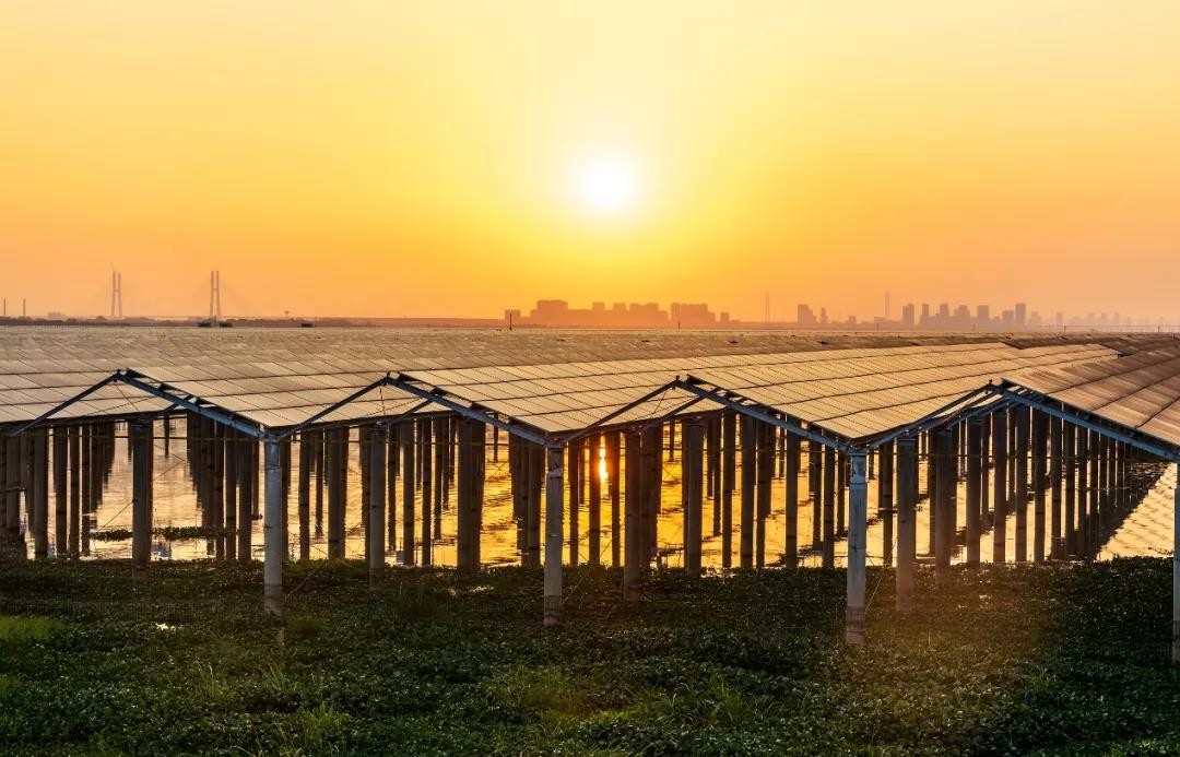 Beyond Success - www.milan.com Achieved a Preferred Scale of 1120 MW in Jiangxi